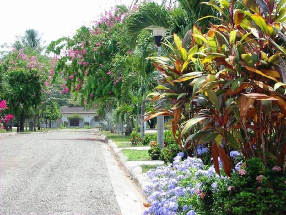 Splendide villa avec piscine à 200m de l'océan.外面的花园