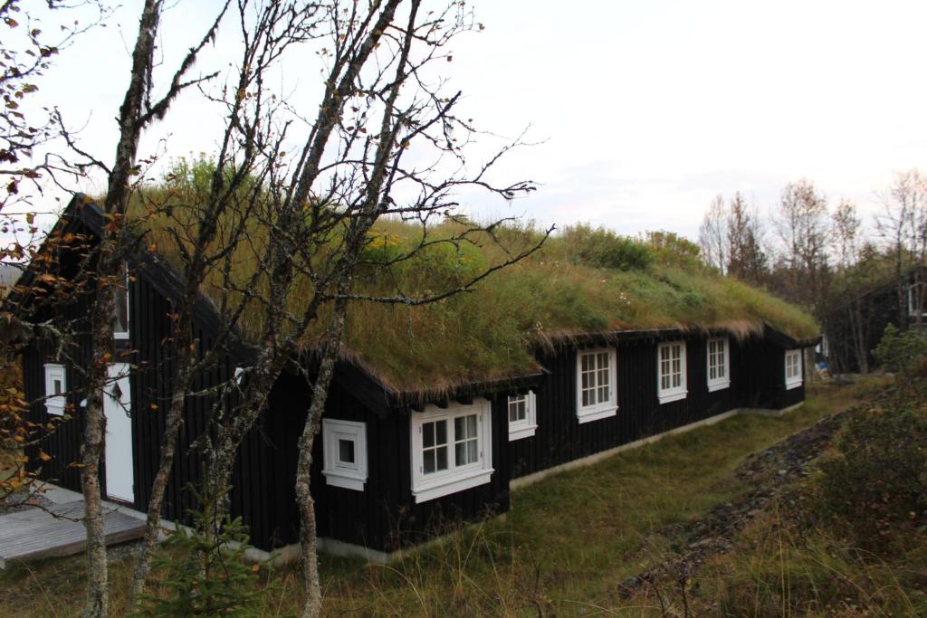 Sør-FronGålå Fjellhytte - cabin with sauna and whirlpool tub的茅草屋顶房屋