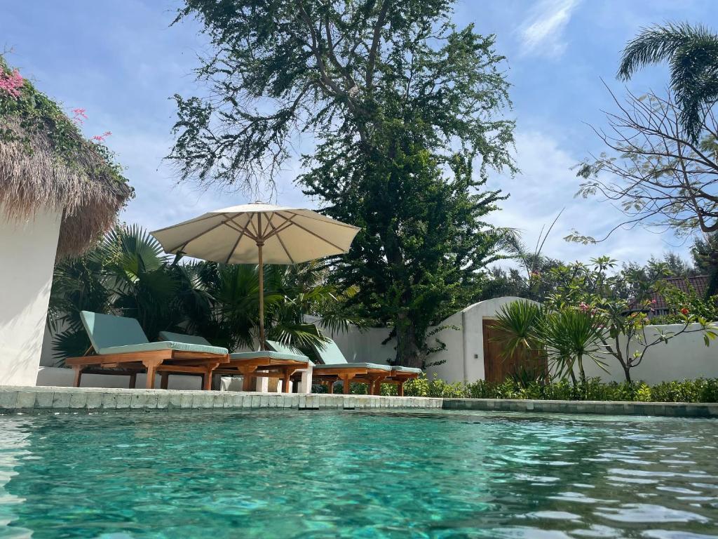 吉利特拉旺安威尔逊休闲酒店的一个带椅子和遮阳伞的游泳池