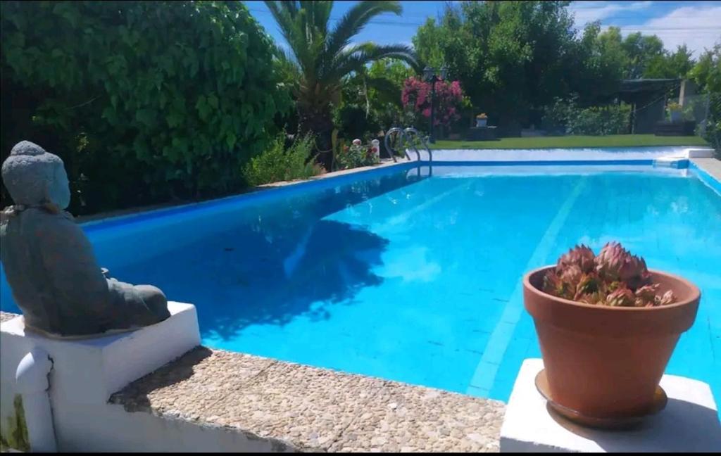 塔拉韦拉·德·拉·雷纳Casa de Campo Talavera的蓝色的游泳池,旁边是盆栽植物