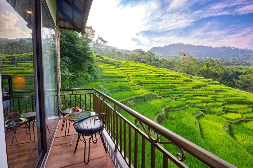 Hương Bá ThướcCentral hills Puluong resort的阳台享有稻田美景。