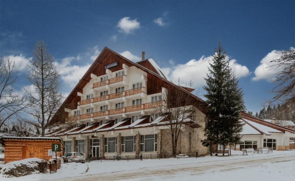 冬天的Hotel Casa Pelerinul