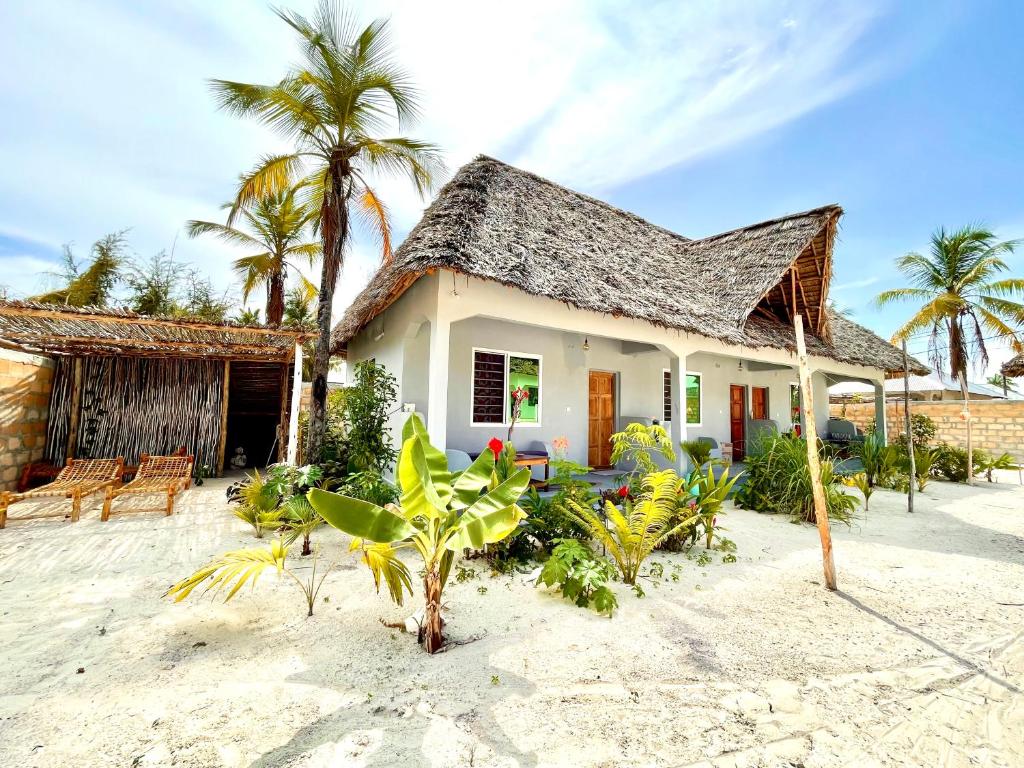 布韦朱Butterfly Apartment Zanzibar的棕榈树海滩上的房子