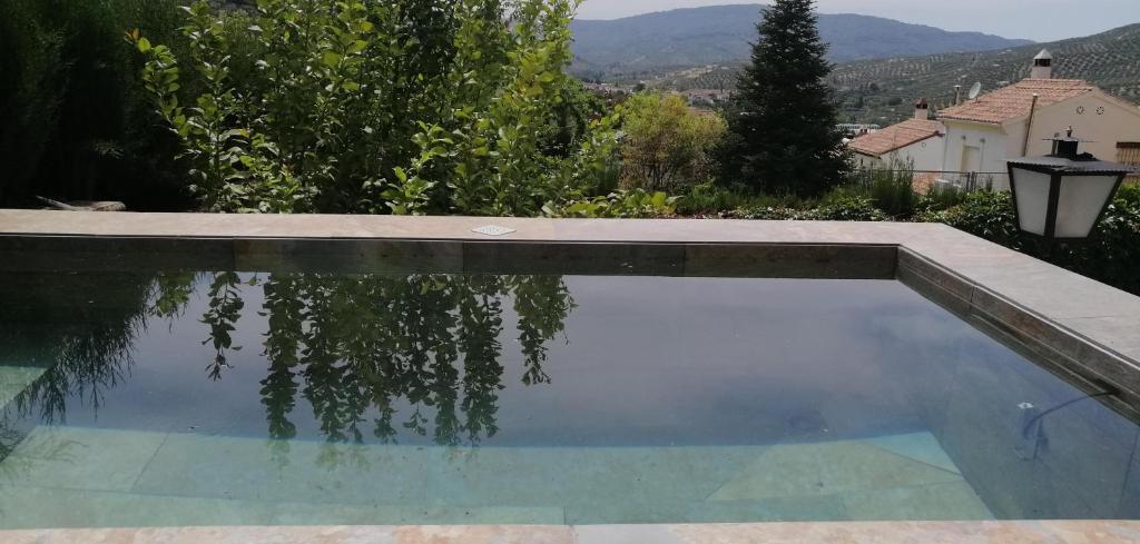 Villa Spa Los Villares内部或周边的泳池