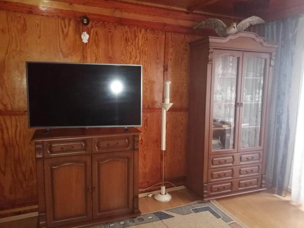 WilkowiceApartament nad szumiącym potokiem的房间里的木柜上的电视