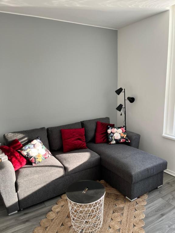 莱顿‘T Singeltje的客厅配有灰色沙发和红色枕头