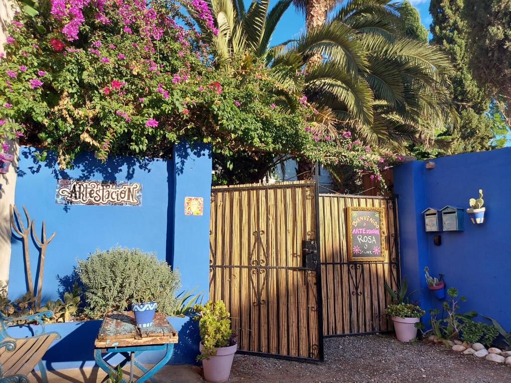 阿洛拉Artestacion的蓝色的墙壁,有木门和鲜花