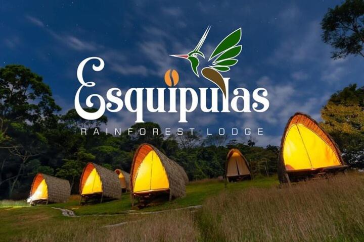 奎波斯城Esquipulas Rainforest的一组帐篷坐在田野里