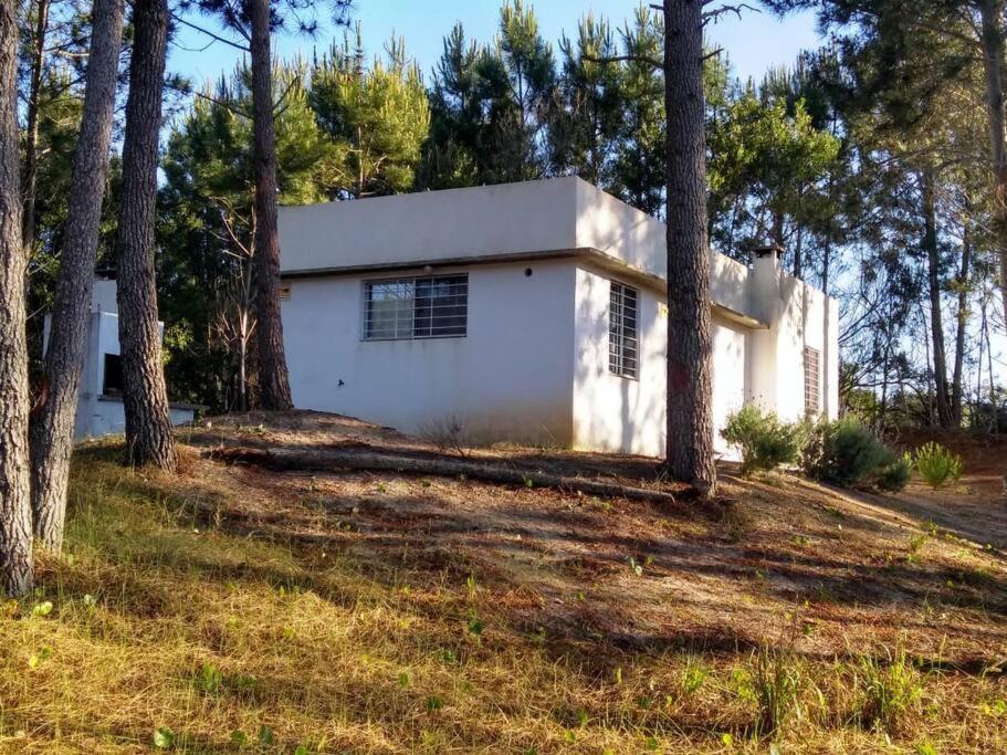 拉埃斯梅拉达Casa en La Esmeralda Uruguay的树林中的白色房子
