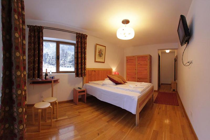 布什泰尼Pensiunea Turistica Villa Ermitage的一间卧室设有一张床、一个窗口和一台电视。
