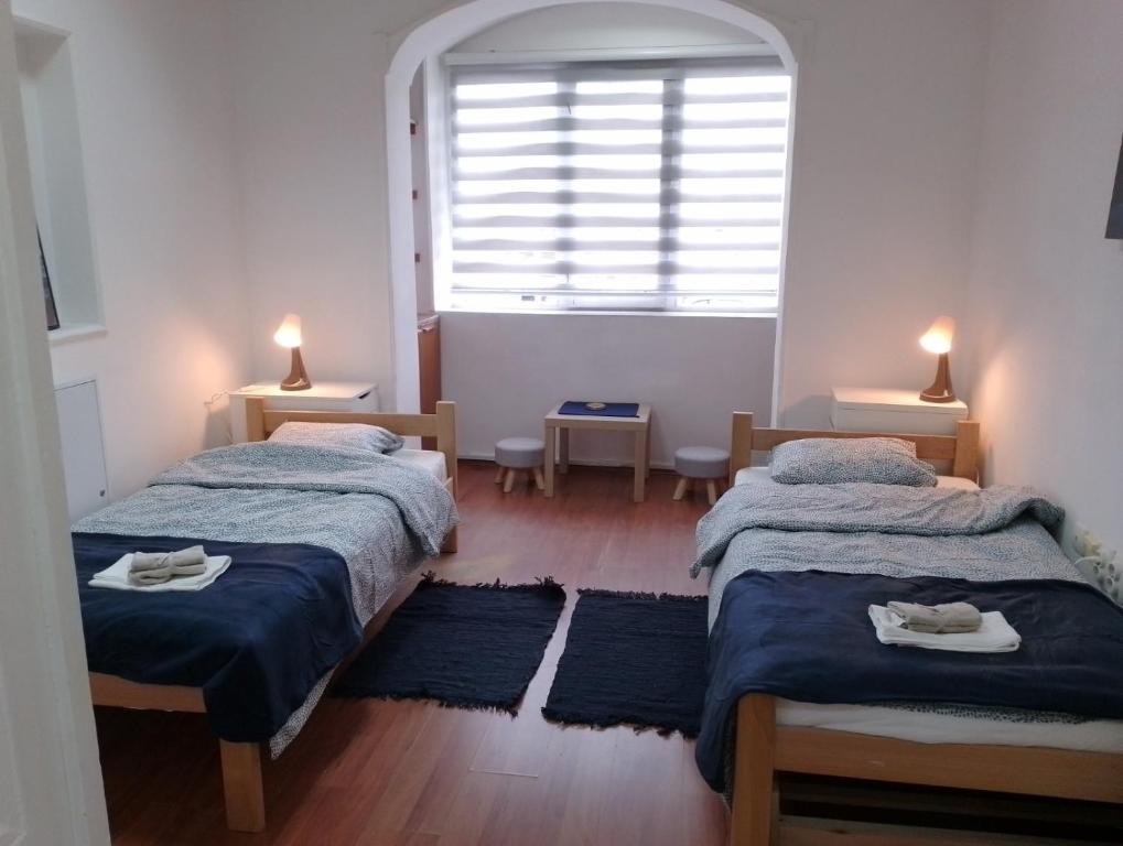 贝尔格莱德Mili Host的一间卧室设有两张单人床和一个窗户。