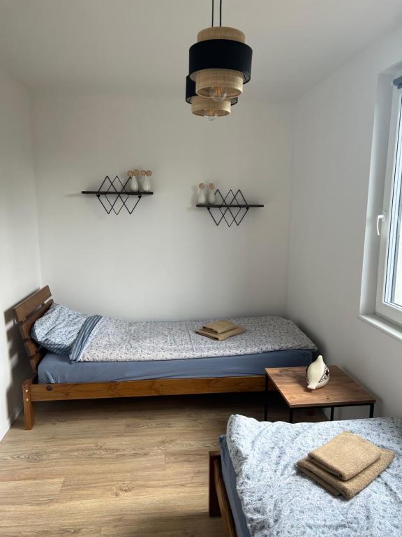 普什切夫Apartament nad jeziorem的一间卧室配有两张单人床和一盏灯。