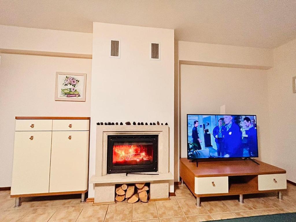 班斯科Free SPA Pirin lodge cosy apartment的一间带电视和壁炉的客厅