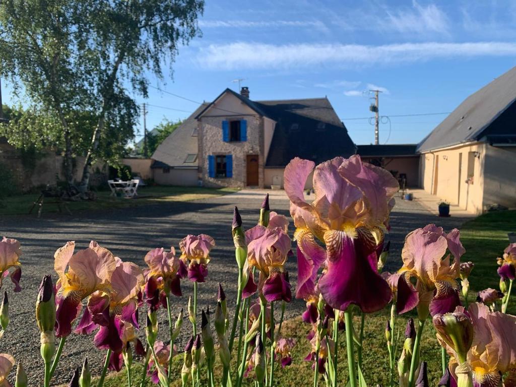 MarchévilleLes Logis du Breuil的房子前面的一束粉红色的花