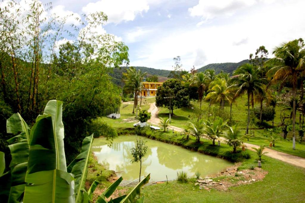 博尼托Pousada Toca da Coruja的棕榈树公园池塘的景色