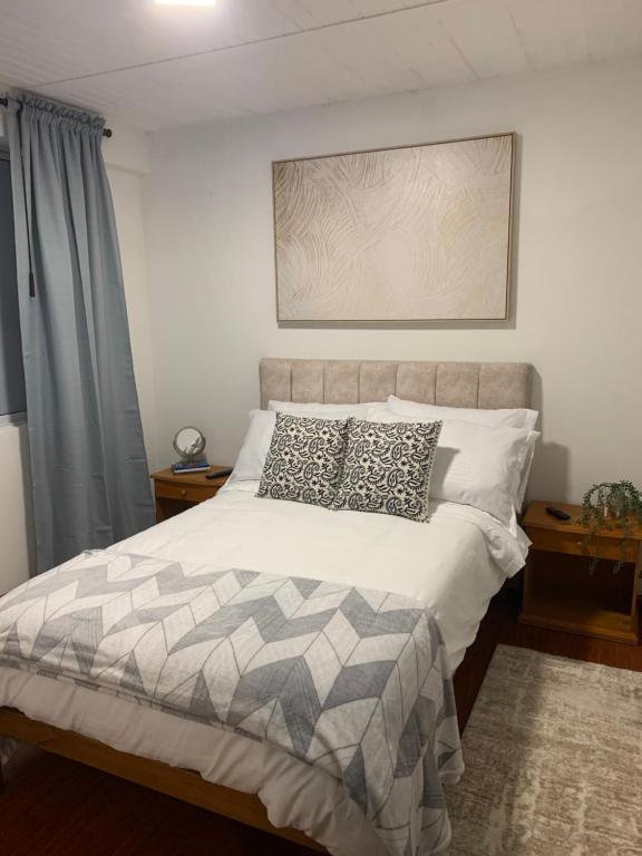 波哥大Confortable Apartaestudio的一间卧室配有一张大床和枕头