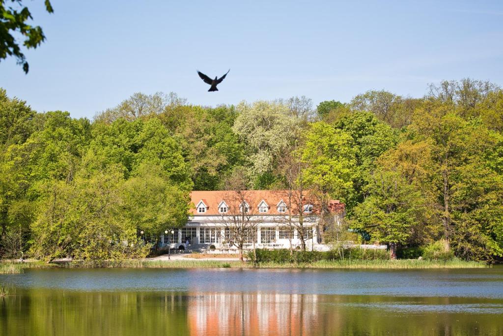 波兹南Port Sołacz的鸟飞过湖上的大房子