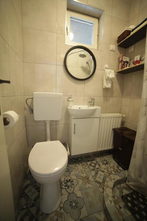 SotinKuća za odmor Fjaka的一间带卫生间、水槽和镜子的浴室
