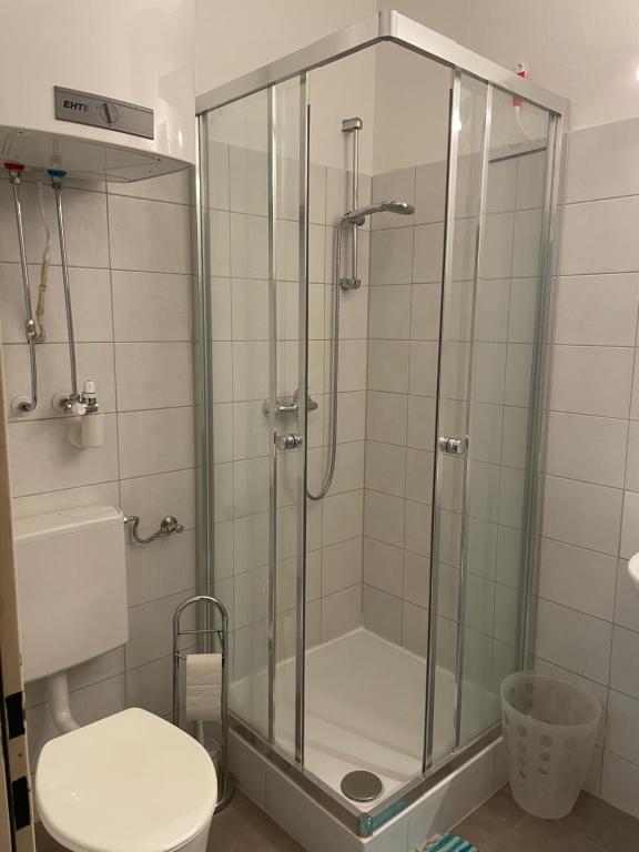 格拉茨Grazer Spatz的浴室设有玻璃淋浴间和卫生间