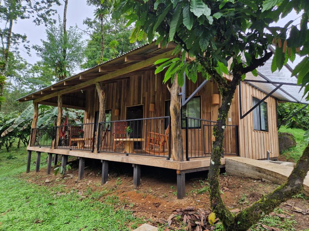 比加瓜Finca Amistad Cacao Lodge的树林中的一个小屋,设有门廊