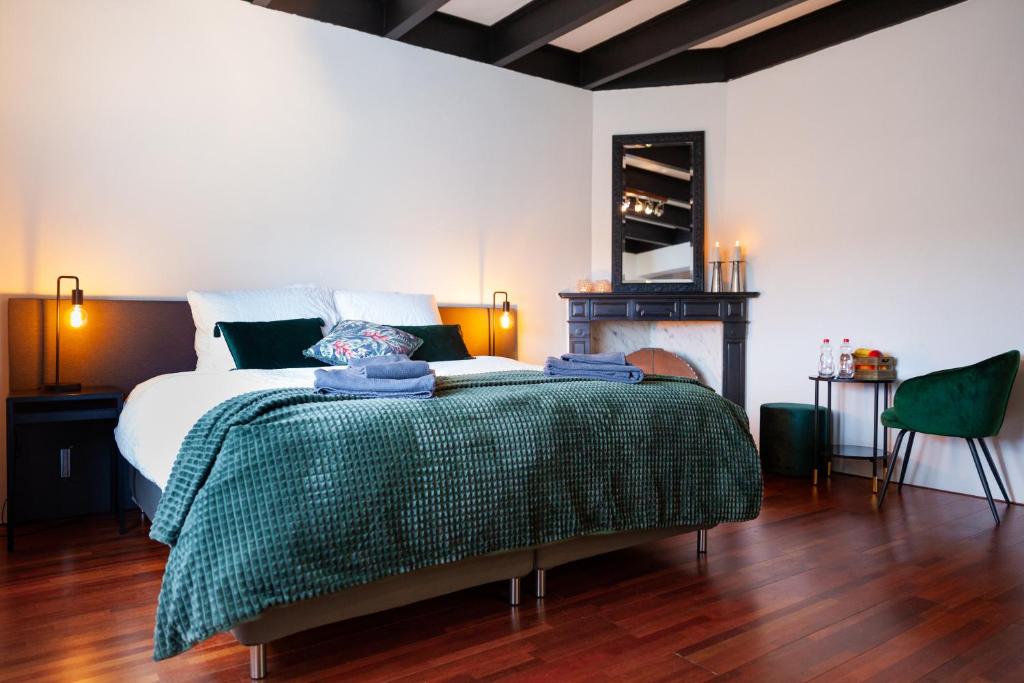 OverschildPait's Laand Bed & Breakfast的一间卧室配有一张带绿毯的床和壁炉