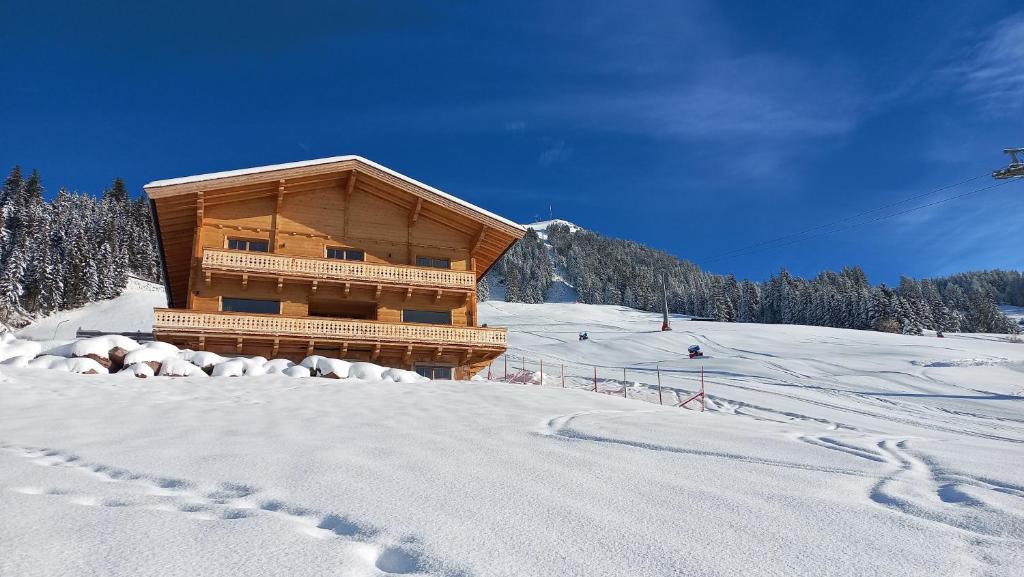 布里克森谷地霍普夫加尔滕Bauernhof Streitenau的雪地滑雪坡上的木屋