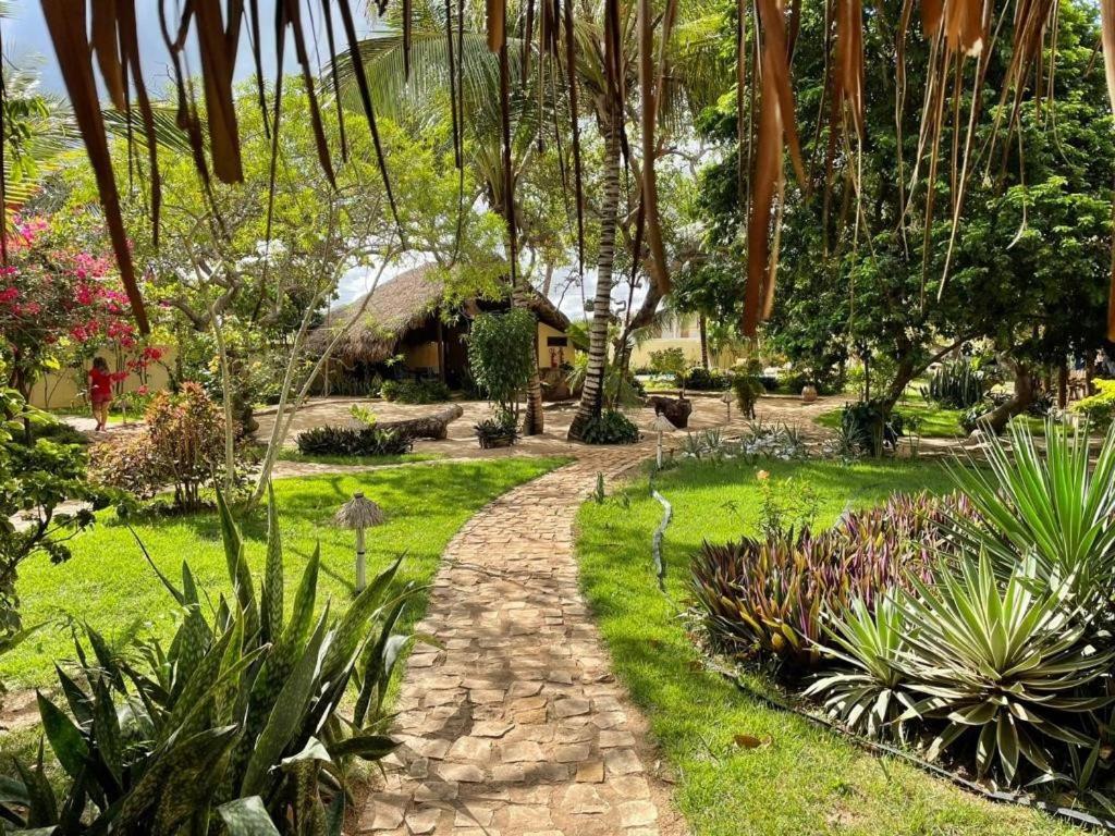 圣米格尔-杜戈斯托苏奇卡皮坦加旅馆的穿过种有植物和树木的花园的路径