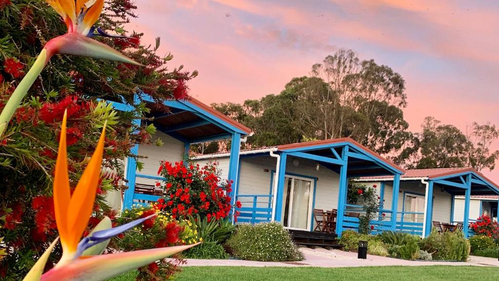 科武港Costa do Vizir Beach Village的前面有鲜花的蓝色房子