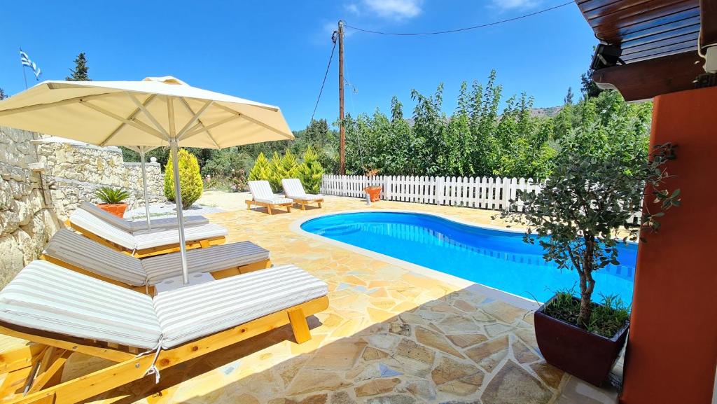 加瓦洛霍里翁Villa Nikolas的一个带椅子和遮阳伞的庭院和一个游泳池