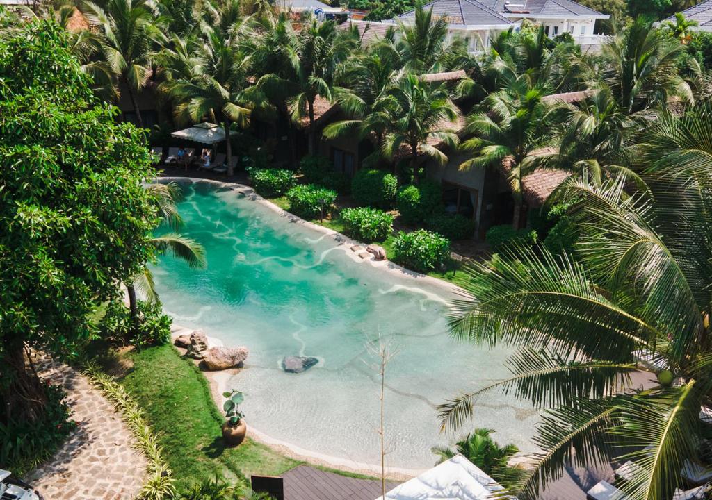 富国M Village Phu Quoc的享有棕榈树游泳池的顶部景致