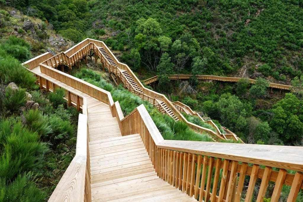 瓜尔达Apartamento Luxury Mira Espanha na Guarda的树 ⁇ 山上带楼梯的木桥