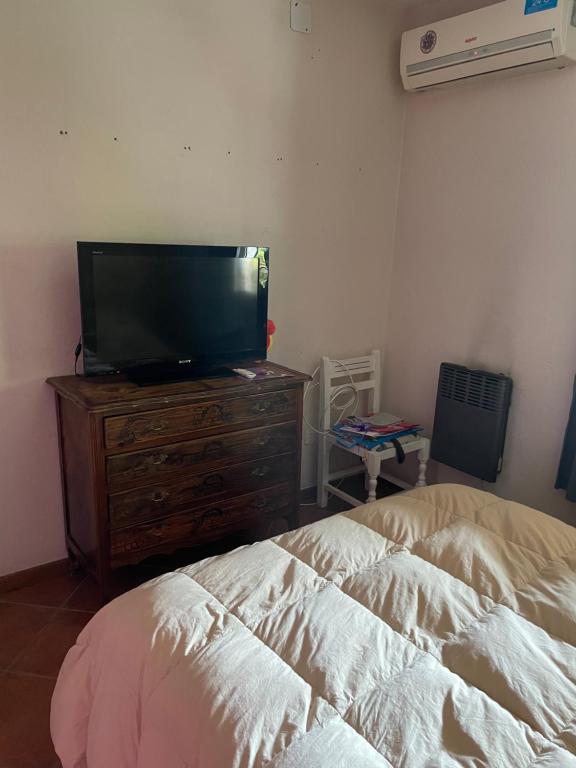 卢汉德库约Habitación en casa estilo campo的一间卧室配有一张床,梳妆台上配有电视