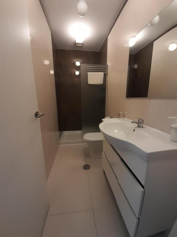 波尔图波尔图教士威乐客房旅馆的白色的浴室设有水槽和卫生间。
