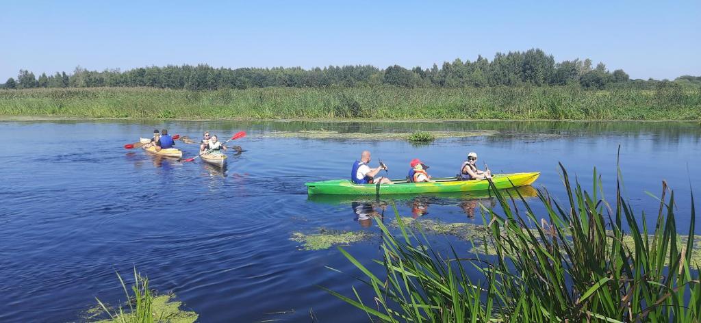 戈尼翁兹POLE NAMIOTOWE nad rzeką BIEBRZA w GONIĄDZU的一群人划着皮艇在河上