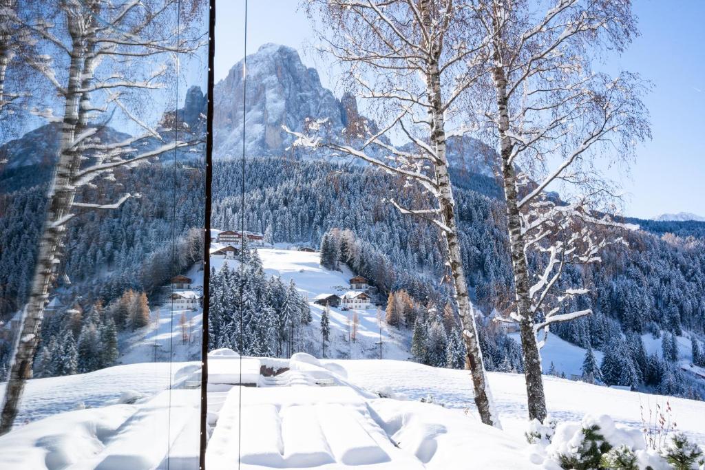 塞尔瓦迪加尔代纳山谷Villa Carolina的从窗户可欣赏到白雪 ⁇ 的山景
