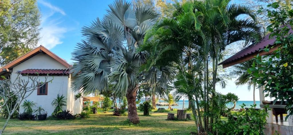 麦岛TK Beach Resort Koh Mak的房屋前的棕榈树