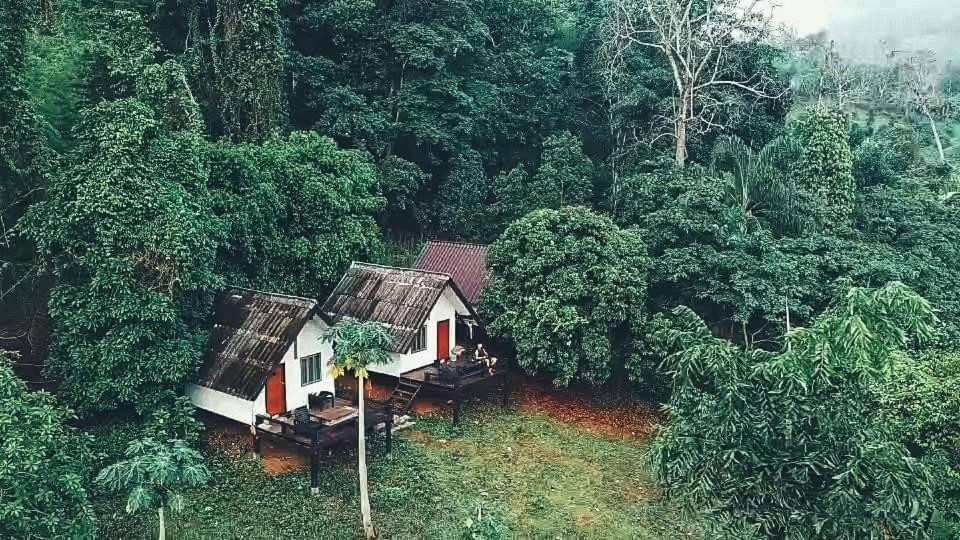 湄宏颂Jungle guest house的森林中房屋的空中景观