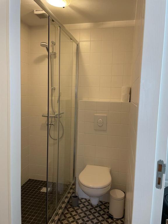 WezepBella Gelria的一间带卫生间和玻璃淋浴间的浴室
