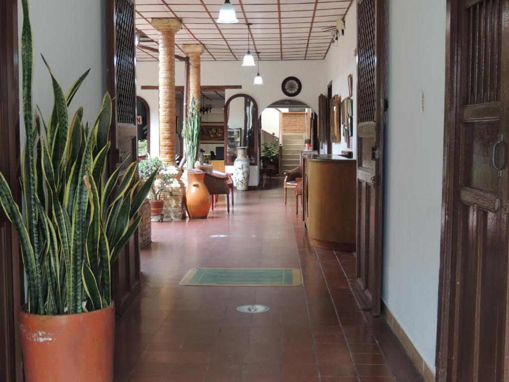 OcañaHotel Real的商店里种植了盆栽的走廊