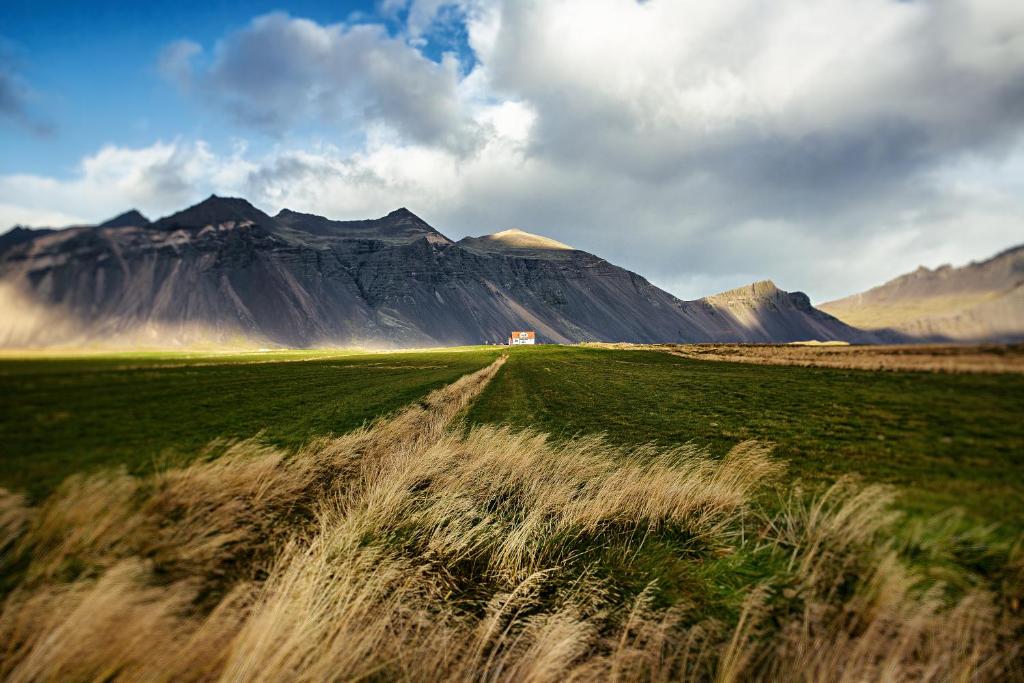 霍芬Sauðanes Guesthouse的山地草场