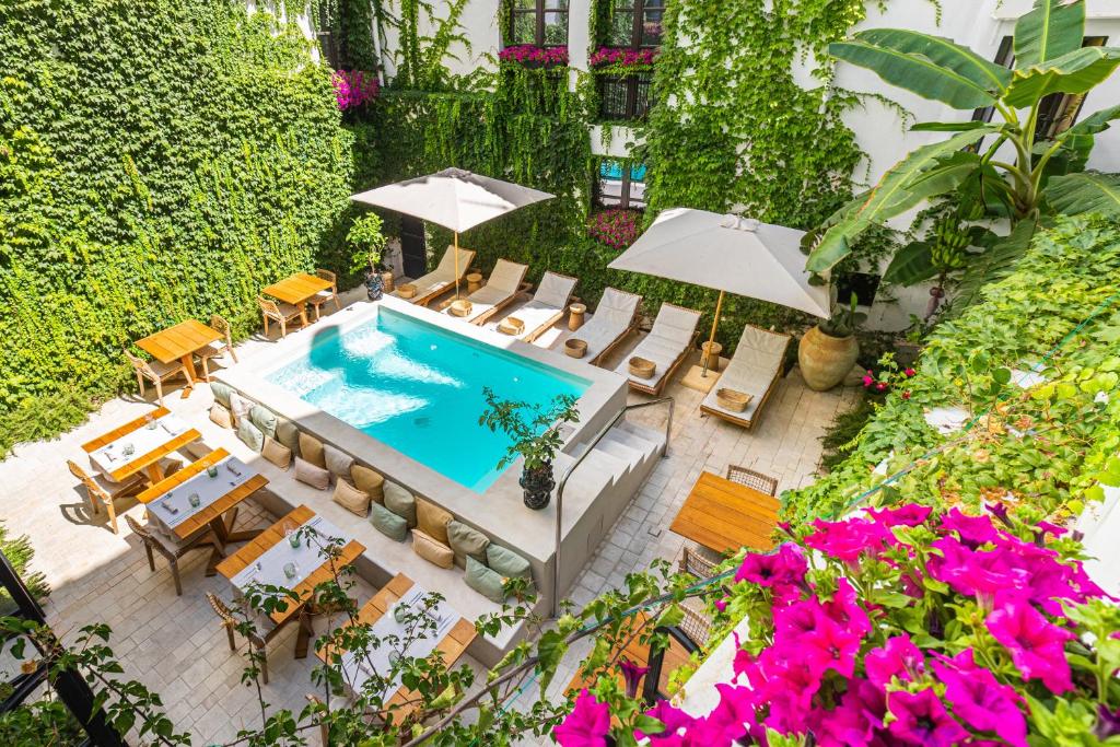 巴勒莫Casa Nostra Boutique Hotel & Spa的享有带椅子和遮阳伞的游泳池的上方景致