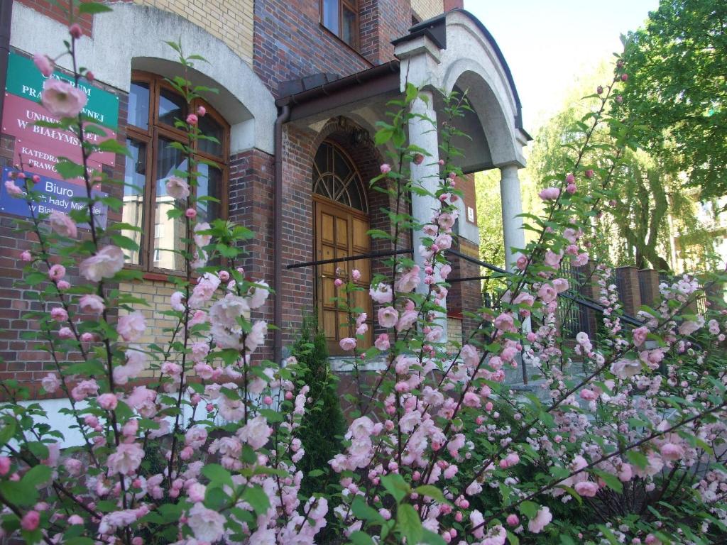 比亚韦斯托克东正教中心文化旅馆的前面有粉红色花的房子