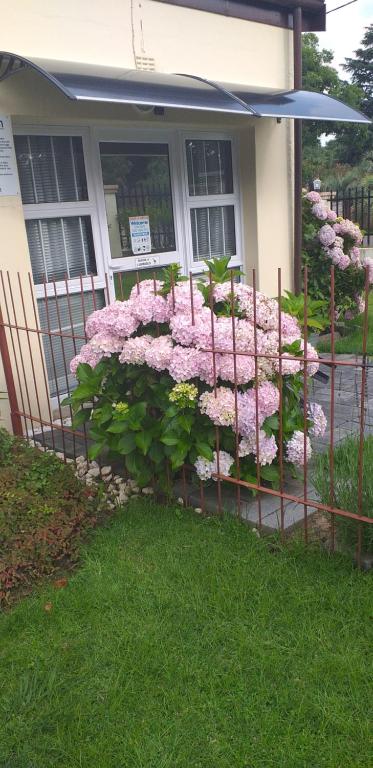 VolksrustKwa-Dlamathe Guesthouse的房屋前有粉红色花的围栏