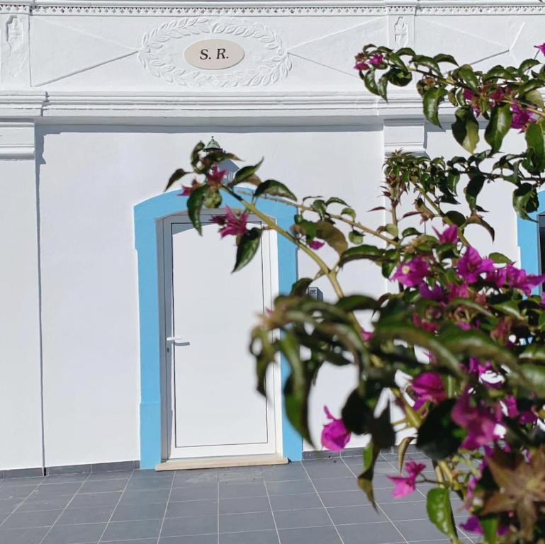 塔维拉Summer Reference的一间有门的房间和种有紫色花卉的植物