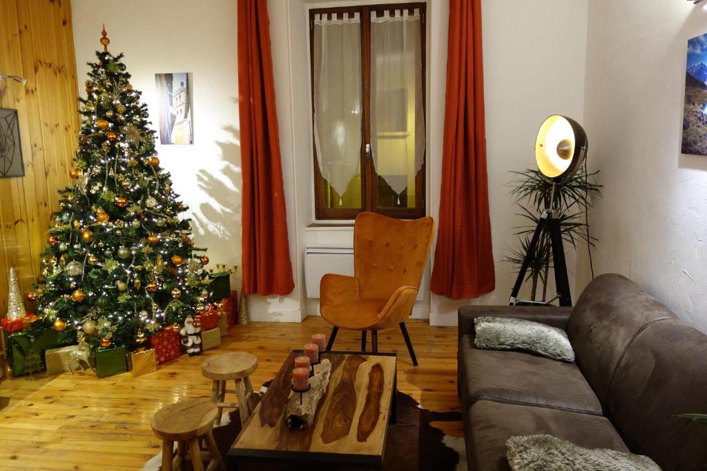 布里昂松Appartement cosy montagne, centre ville de Briançon的客厅配有圣诞树和沙发