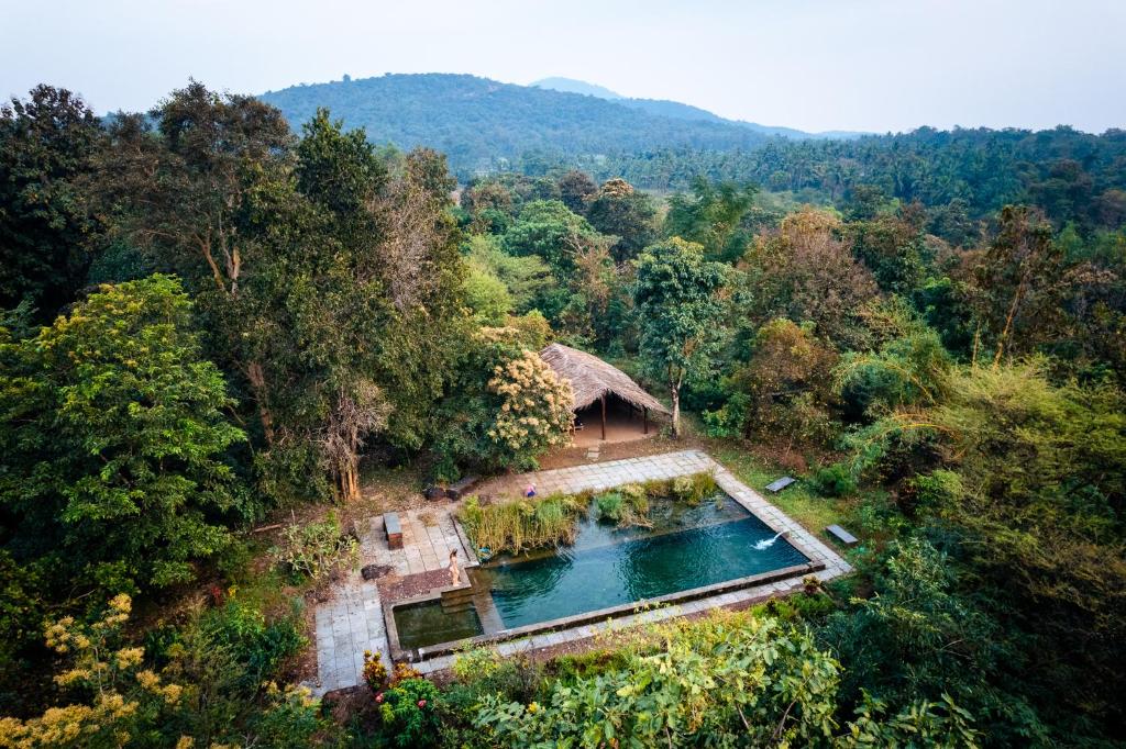 CormonemDudhsagar Plantation的森林中游泳池的顶部景色