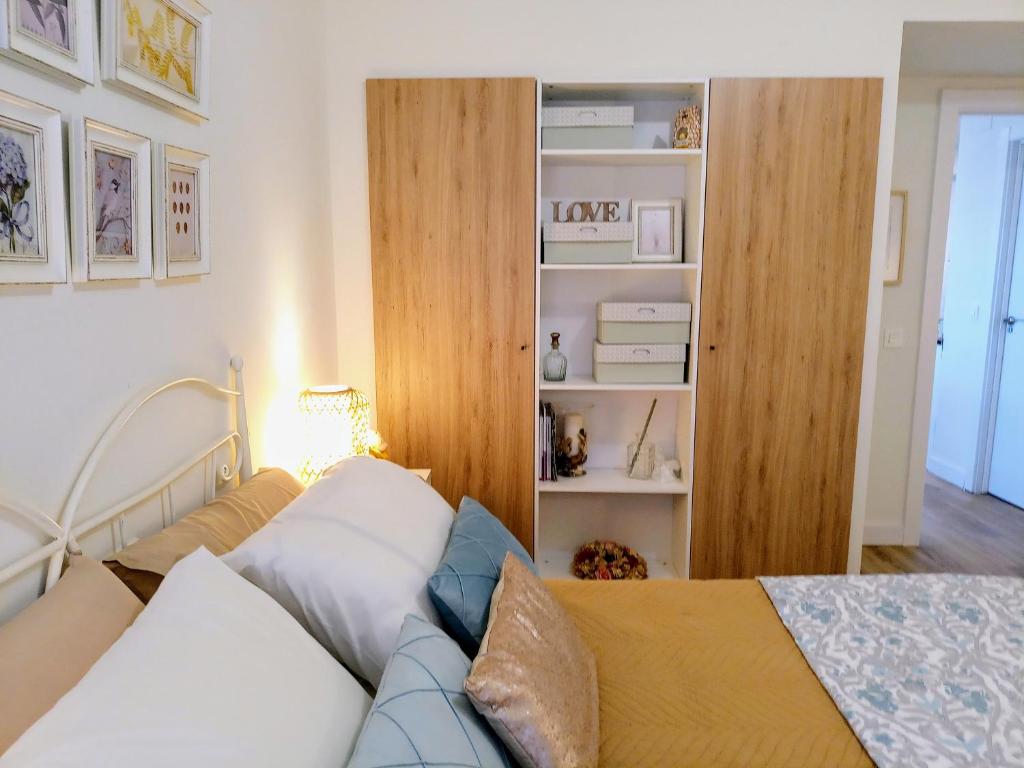 奥维多Espectacular Piso Centro de Oviedo的一间卧室设有一张床和一个书架