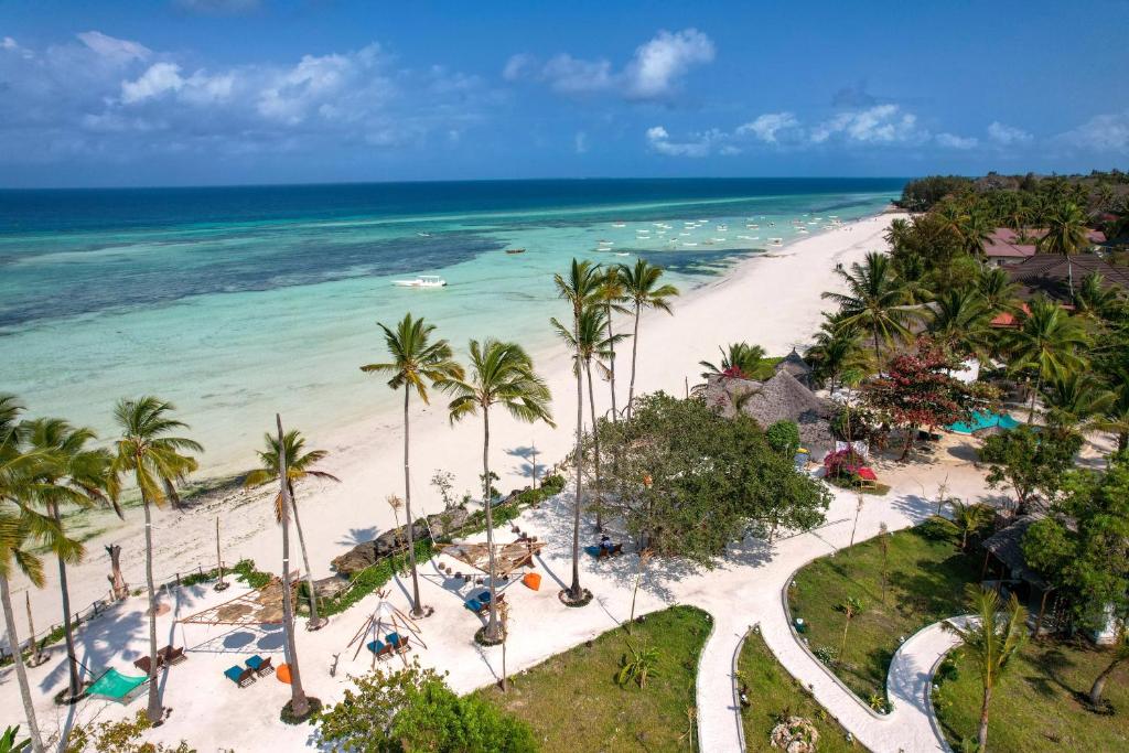基济姆卡济Aya Beach Resort的享有棕榈树海滩和大海的空中景致