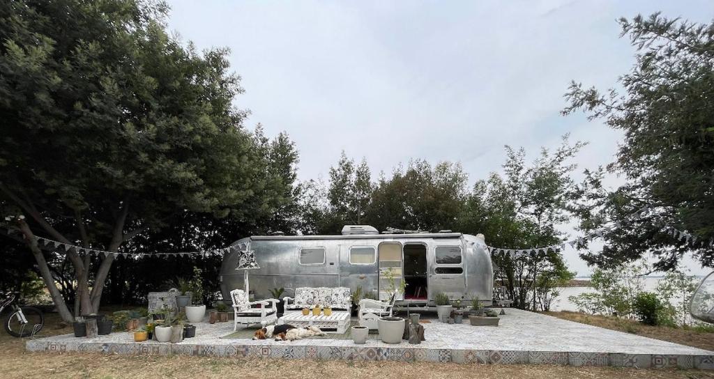 Vaal MarinaAmy The Airstream At Aloe Fjord的停在树前的树 ⁇ 