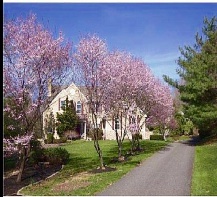 波茨敦Luxury Vacation Estate的车道前有粉红色花卉的房子
